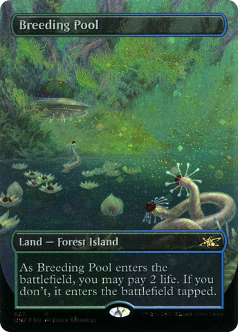 Breeding Pool (Borderless) (Galaxy Foil) [Unfinity]