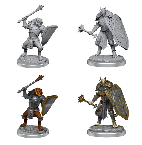 Dragonborn Clerics