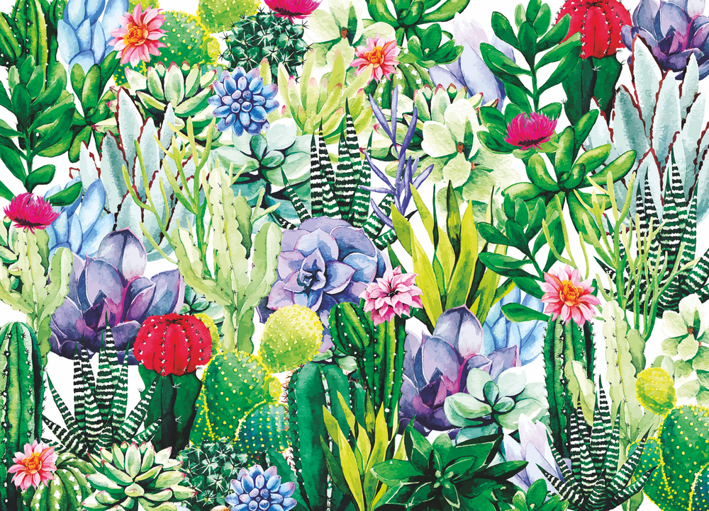 Cactus Jigsaw Puzzles 1000 Piece