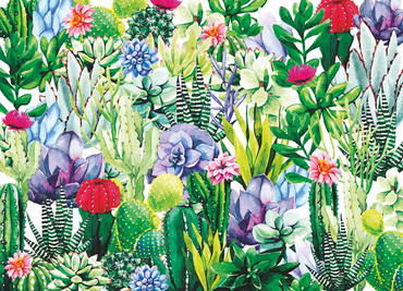 Cactus Jigsaw Puzzles 1000 Piece