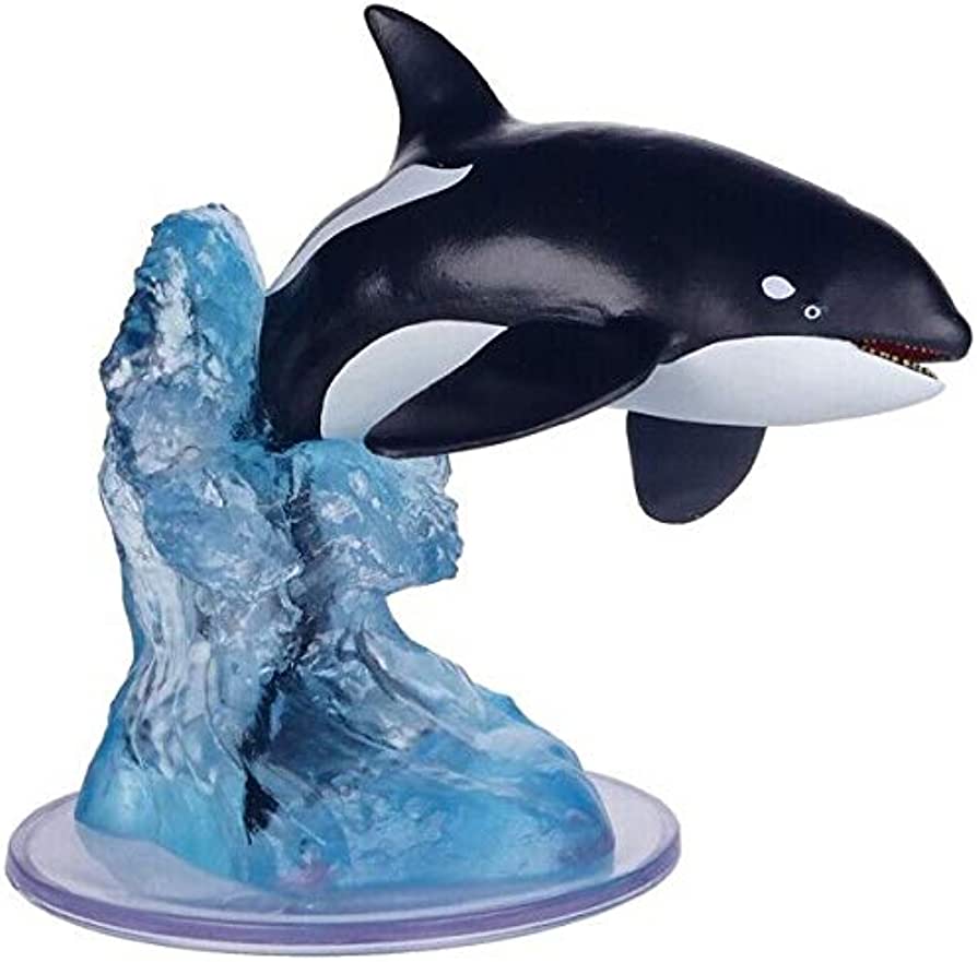 Killer Whale #30