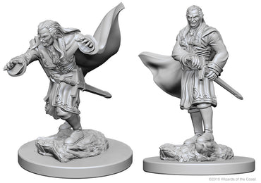 Dungeons & Dragons Nolzur`s Marvelous Unpainted Miniatures: W01 Vampires