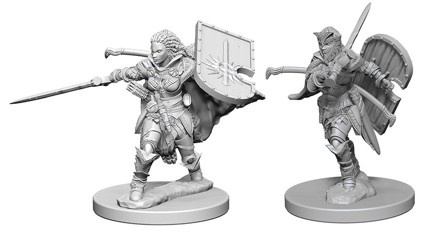 Pathfinder Deep Cuts Unpainted Miniatures: W01 Human Female Paladin