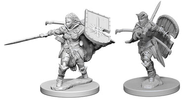 Pathfinder Deep Cuts Unpainted Miniatures: W01 Human Female Paladin