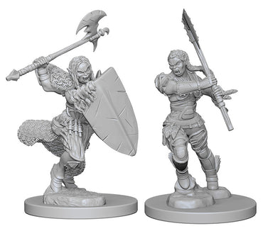 Pathfinder Deep Cuts Unpainted Miniatures: W01 Half-Orc Female Barbarian