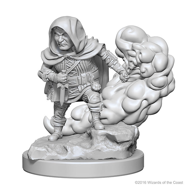 Dungeons & Dragons Nolzur`s Marvelous Unpainted Miniatures: W01 Halfling Male Rogue