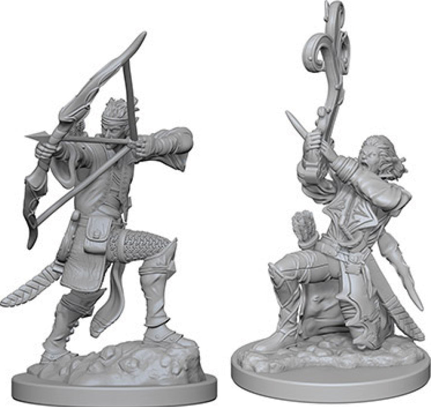Dungeons & Dragons Nolzur`s Marvelous Unpainted Miniatures: W04 Elf Male Bard