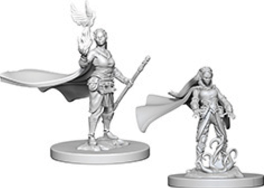 Dungeons & Dragons Nolzur`s Marvelous Unpainted Miniatures: W04 Elf Female Druid