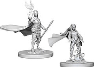 Dungeons & Dragons Nolzur`s Marvelous Unpainted Miniatures: W04 Elf Female Druid