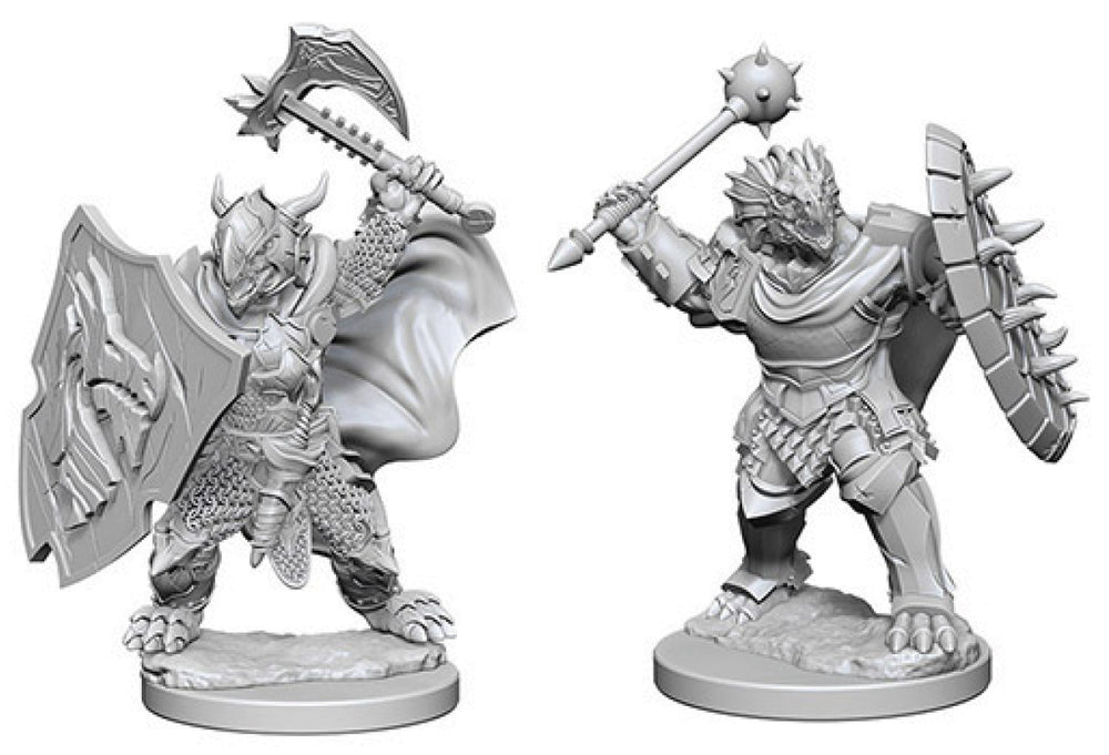 Dungeons & Dragons Nolzur`s Marvelous Unpainted Miniatures: W04 Dragonborn Male Paladin