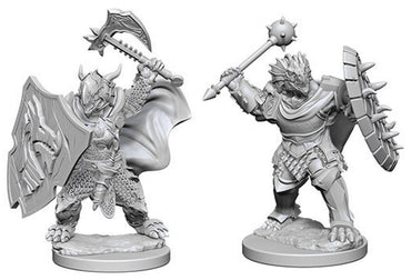 Dungeons & Dragons Nolzur`s Marvelous Unpainted Miniatures: W04 Dragonborn Male Paladin