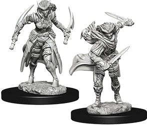 Dungeons & Dragons Nolzur`s Marvelous Unpainted Miniatures: W07 Tiefling Female Rogue