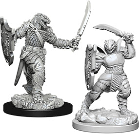 Dungeons & Dragons Nolzur`s Marvelous Unpainted Miniatures: W05 Dragonborn Female Paladin