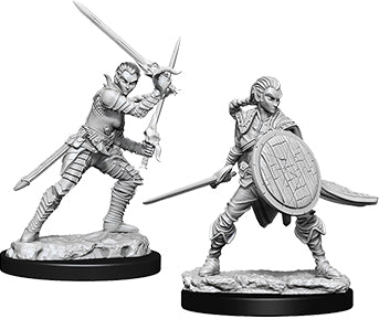 Pathfinder Deep Cuts Unpainted Miniatures: W06 Female Elf Fighter