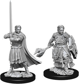 Dungeons & Dragons Nolzur`s Marvelous Unpainted Miniatures: W08 Male Human Cleric