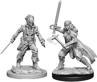 Dungeons & Dragons Nolzur`s Marvelous Unpainted Miniatures: W08 Vampire Hunters