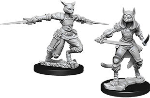 Dungeons & Dragons Nolzur`s Marvelous Unpainted Miniatures: W09 Female Tabaxi Rogue