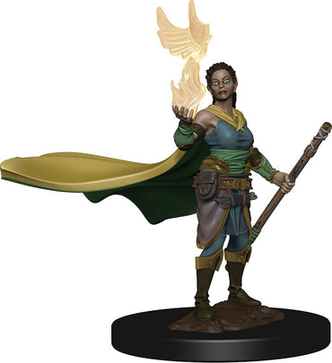Dungeons & Dragons Fantasy Miniatures: Icons of the Realms Premium Figures W01 Elf Female Druid