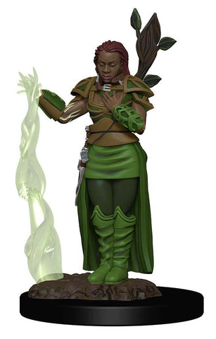 Dungeons & Dragons Fantasy Miniatures: Icons of the Realms Premium Figures W02 Human Female Druid