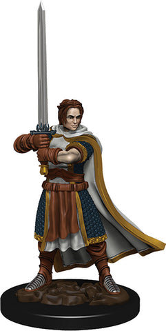 Dungeons & Dragons Fantasy Miniatures: Icons of the Realms Premium Figures W04 Human Cleric Male