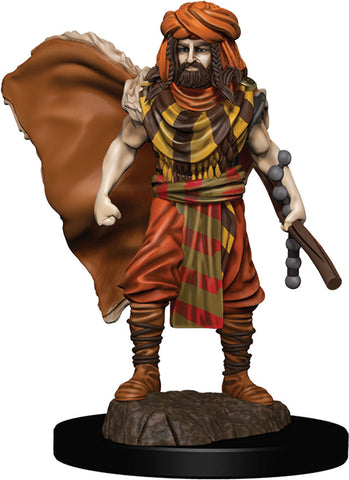 Dungeons & Dragons Fantasy Miniatures: Icons of the Realms Premium Figures W04 Human Druid Male