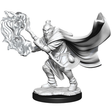 Critical Role Unpainted Miniatures: W01 Hobgoblin Wizard and Druid Male