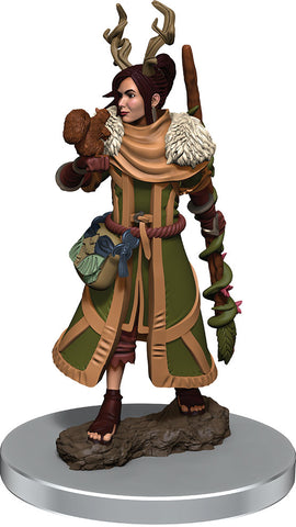 Dungeons & Dragons Fantasy Miniatures: Icons of the Realms Premium Figures W07 Female Human Druid