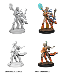 Pathfinder Deep Cuts: Human Female Sorcerer